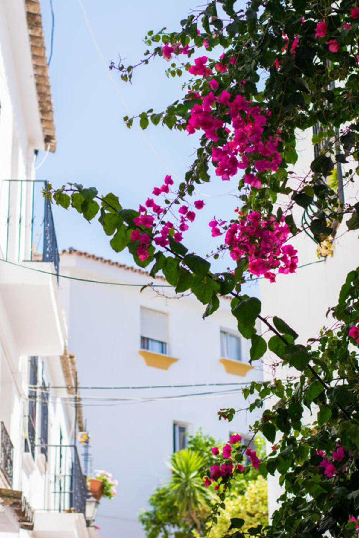 Superior 3Br Golfla Apartment Minutes From Puerto Banus & Marbella Málaga Exteriör bild